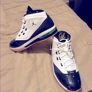 Cal Bears Team Exclusive Jordan XVI.5 Team shoes